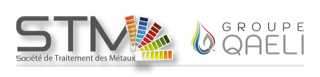 Logo de l'exposant : STM